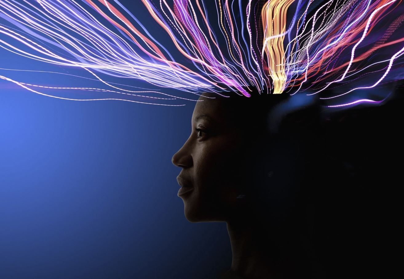 Intoit | Monza | Home