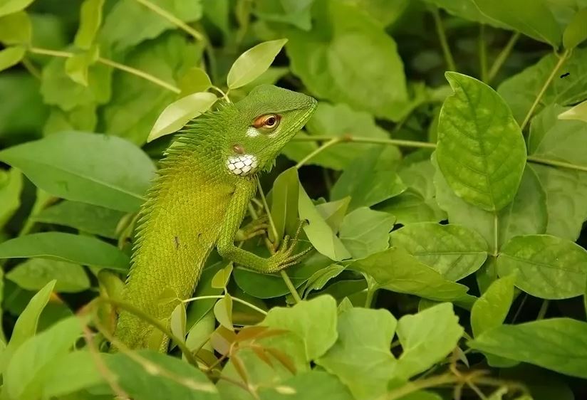 Intoit | Monza | Home